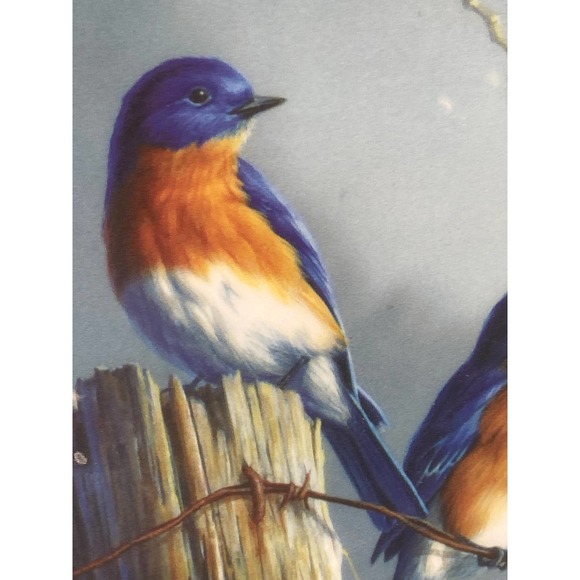 Bluebird Round Plastic Cutting Board  James Hautman Wall Hanging Cheese Platter - Picture 4 of 8